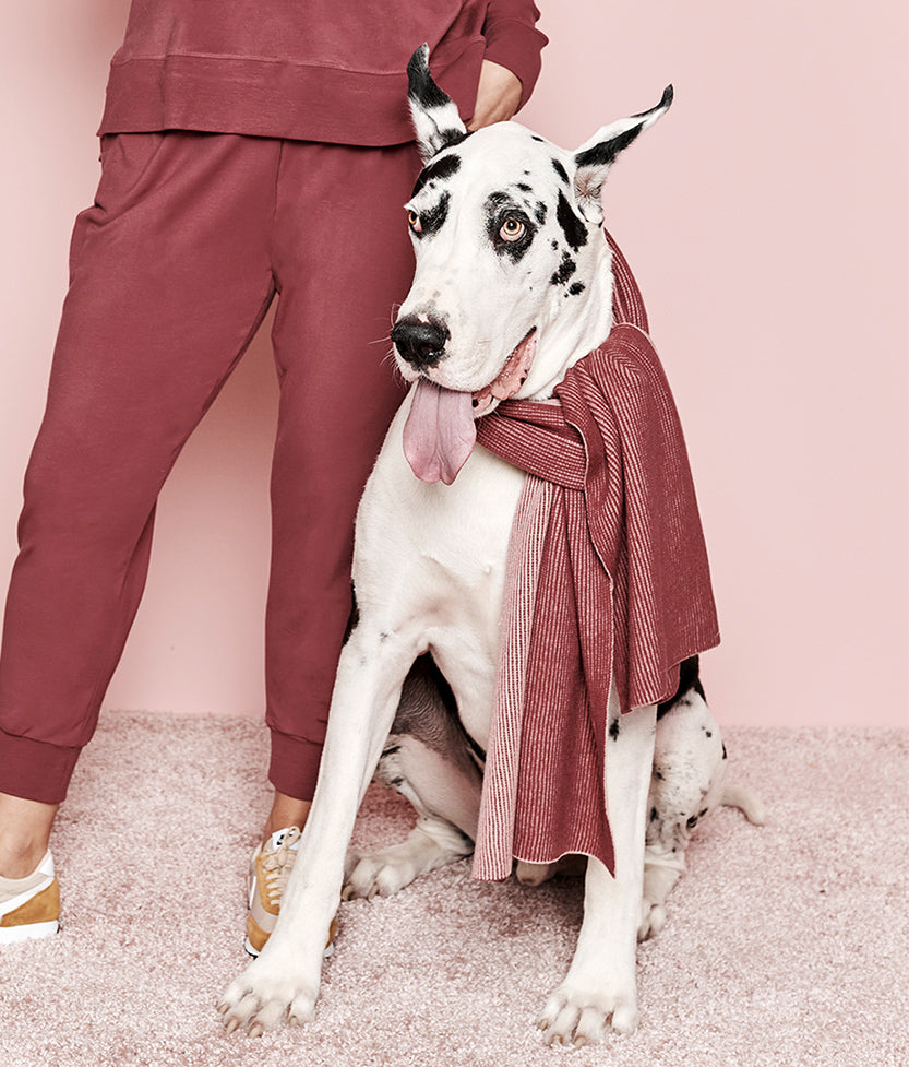 The Coziest Cashmere Blend Ribbed Scarf - Rosewood & Shell